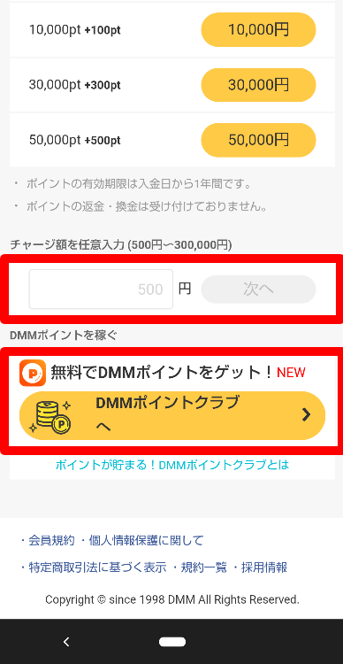 DMM✕DAZNホーダイのDMMポイント払い4