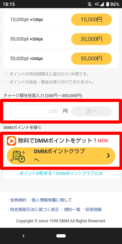 DMM✕DAZNホーダイのDMMポイント払い4